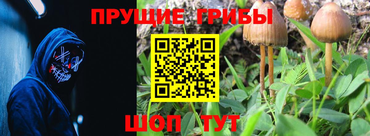 Галлюциногенные грибы Psilocybe  Галлюциногенные грибы ЛСД  Батайск  Вход с VPN 